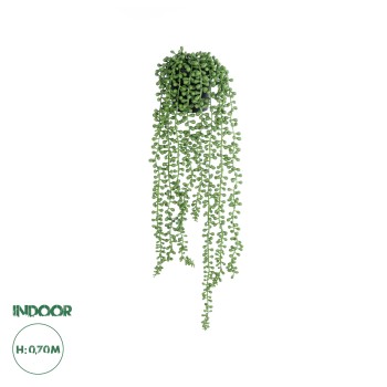 GloboStar® Artificial Garden HANGING LOVER'S TEARS 20875 - Τεχνητό Κρεμαστό Διακοσμητικό Φυτό Lover's Tears Φ14 x Y70cm GloboStar® Artificial Garden HANGING LOVER'S TEARS 20875 - Τεχνητό Κρεμαστό Διακοσμητικό Φυτό Lover's Tears Φ14 x Y70cm