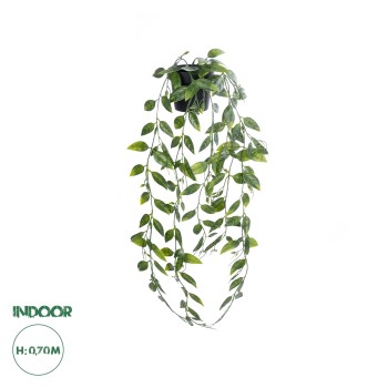 GloboStar® Artificial Garden HANGING DUTCH BEAN 20883 - Τεχνητό Κρεμαστό Διακοσμητικό Φυτό Ολλανδικό Φασόλι Φ28 x Y70cm GloboStar® Artificial Garden HANGING DUTCH BEAN 20883 - Τεχνητό Κρεμαστό Διακοσμητικό Φυτό Ολλανδικό Φασόλι Φ28 x Y70cm