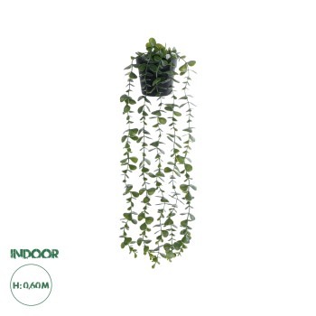 GloboStar® Artificial Garden HANGING EUCALYPTUS LEAF 20884 - Τεχνητό Κρεμαστό Διακοσμητικό Φυτό Φύλλα Ευκάλυπτου Φ17 x Y60cm GloboStar® Artificial Garden HANGING EUCALYPTUS LEAF 20884 - Τεχνητό Κρεμαστό Διακοσμητικό Φυτό Φύλλα Ευκάλυπτου Φ17 x Y60cm