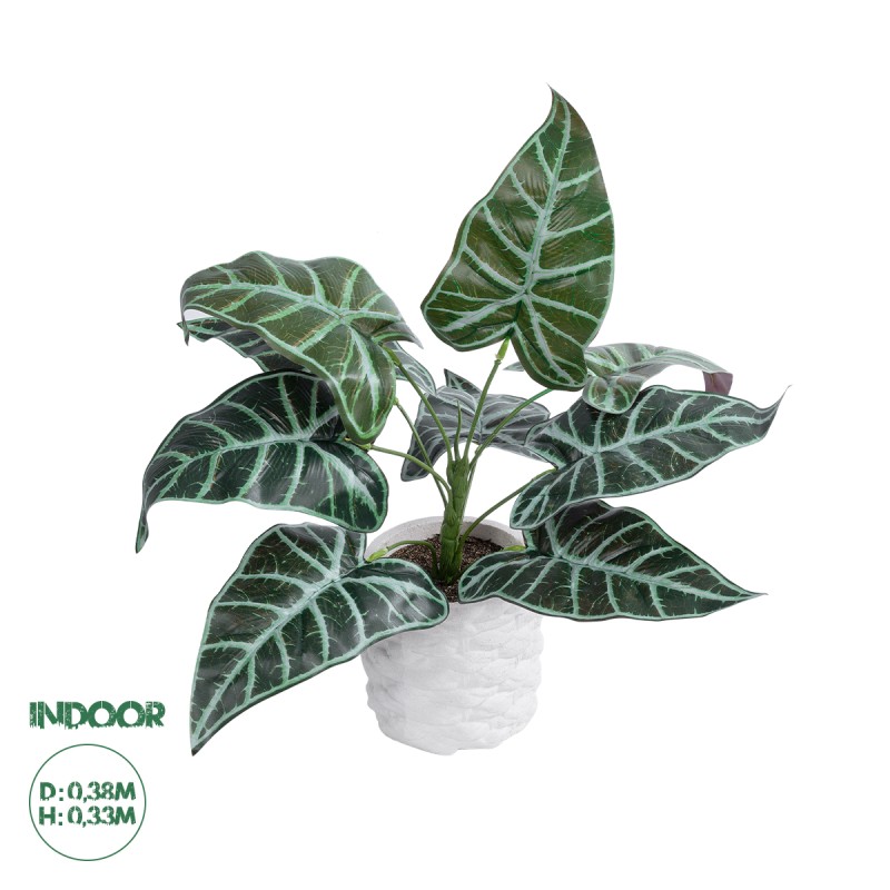 GloboStar® Artificial Garden ALOCASIA 20886 Τεχνητό Διακοσμητικό Φυτό Αλοκασία Φ38 x Υ33cm GloboStar® Artificial Garden ALOCASIA 20886 Τεχνητό Διακοσμητικό Φυτό Αλοκασία Φ38 x Υ33cm