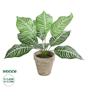 GloboStar® Artificial Garden ZEBRA POTTED PLANT 20898 Διακοσμητικό Φυτό Ζέμπρα Φ40 x Υ33cm GloboStar® Artificial Garden ZEBRA POTTED PLANT 20898 Διακοσμητικό Φυτό Ζέμπρα Φ40 x Υ33cm