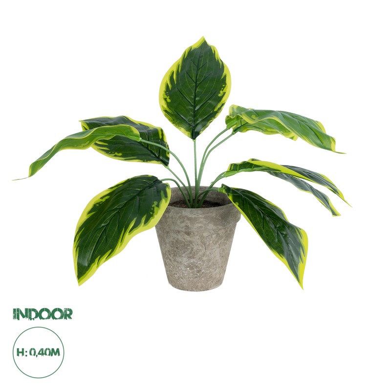 GloboStar® Artificial Garden YELLOW HOSTA PLANT 20899 Τεχνητό Διακοσμητικό Φυτό Κίτρινη Χόστα Φ45 x Υ40cm GloboStar® Artificial Garden YELLOW HOSTA PLANT 20899 Τεχνητό Διακοσμητικό Φυτό Κίτρινη Χόστα Φ45 x Υ40cm