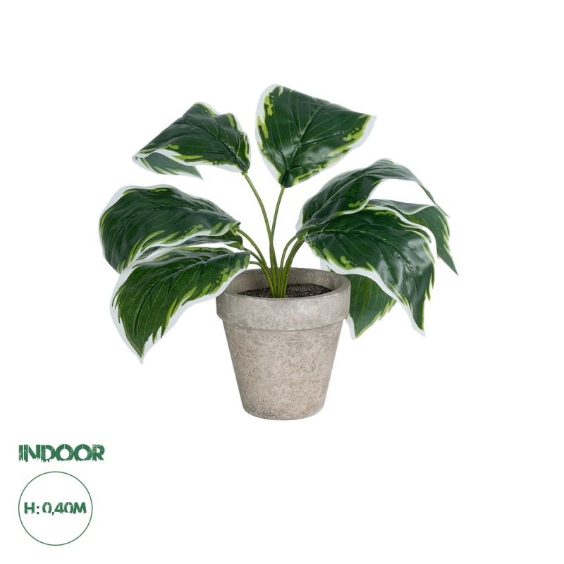 GloboStar® Artificial Garden WHITE HOSTA PLANT 20900 Διακοσμητικό Φυτό Λευκή  Χόστα Φ45 x Υ40cm GloboStar® Artificial Garden WHITE HOSTA PLANT 20900 Διακοσμητικό Φυτό Λευκή  Χόστα Φ45 x Υ40cm