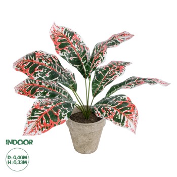 GloboStar® Artificial Garden RED AGLAONEMA POTTED PLANT 20901 Διακοσμητικό Φυτό Κόκκινο Αγλαόνημα Φ40 x Υ33cm GloboStar® Artificial Garden RED AGLAONEMA POTTED PLANT 20901 Διακοσμητικό Φυτό Κόκκινο Αγλαόνημα Φ40 x Υ33cm