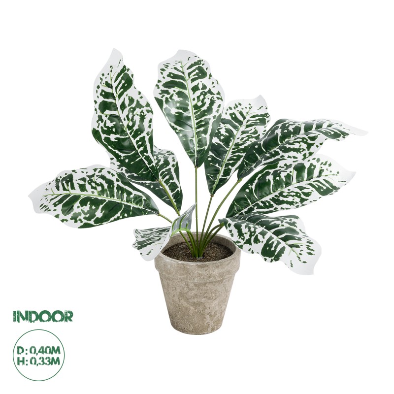 GloboStar® Artificial Garden WHITE AGLAONEMA POTTED PLANT 20903 Διακοσμητικό Φυτό Λευκό Αγλαόνημα Φ40 x Υ33cm GloboStar® Artificial Garden WHITE AGLAONEMA POTTED PLANT 20903 Διακοσμητικό Φυτό Λευκό Αγλαόνημα Φ40 x Υ33cm