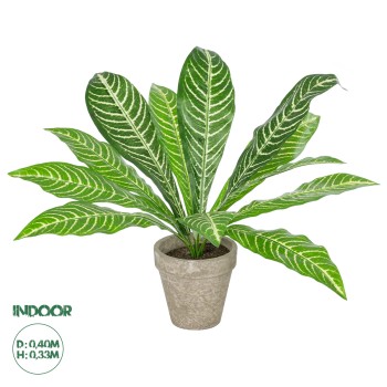 GloboStar® Artificial Garden  ZEBRA POTTED PLANT 20906 Διακοσμητικό Φυτό Ζέμπρα Φ40 x Υ33cm GloboStar® Artificial Garden  ZEBRA POTTED PLANT 20906 Διακοσμητικό Φυτό Ζέμπρα Φ40 x Υ33cm