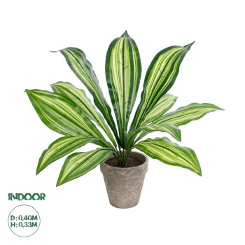 GloboStar® Artificial Garden  DRACAENA POTTED PLANT 20907 Διακοσμητικό Φυτό Δράκενα Φ40 x Υ33cm GloboStar® Artificial Garden  DRACAENA POTTED PLANT 20907 Διακοσμητικό Φυτό Δράκενα Φ40 x Υ33cm