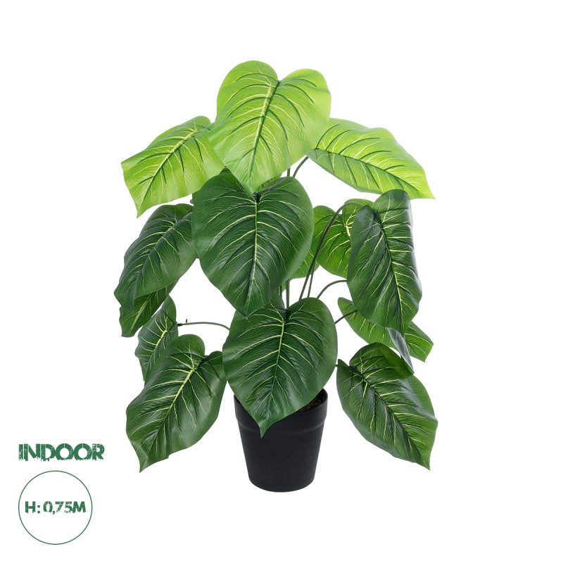 GloboStar® Artificial Garden PHILODENDRON PLANT 20910 Διακοσμητικό Φυτό Φυλλόδεντρο Φ70 x Υ75cm GloboStar® Artificial Garden PHILODENDRON PLANT 20910 Διακοσμητικό Φυτό Φυλλόδεντρο Φ70 x Υ75cm