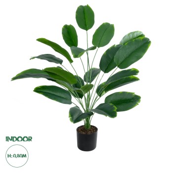 GloboStar® Artificial Garden YOUNG BANANA PLANT 20916 - Διακοσμητικό Φυτό Νεαρή Μπανανιά Φ82 x Υ80cm GloboStar® Artificial Garden YOUNG BANANA PLANT 20916 - Διακοσμητικό Φυτό Νεαρή Μπανανιά Φ82 x Υ80cm