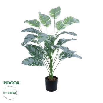 GloboStar® Artificial Garden BANANA ZEBRA PLANT 20919 - Διακοσμητικό Φυτό Μπανανιά Ζέβρα Φ78 x Υ80cm GloboStar® Artificial Garden BANANA ZEBRA PLANT 20919 - Διακοσμητικό Φυτό Μπανανιά Ζέβρα Φ78 x Υ80cm