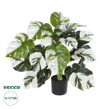 GloboStar® Artificial Garden ALBINO MONSTERA PLANT 20925 - Διακοσμητικό Φυτό Λευκή Μονστέρα Φ70 x Υ75cm GloboStar® Artificial Garden ALBINO MONSTERA PLANT 20925 - Διακοσμητικό Φυτό Λευκή Μονστέρα Φ70 x Υ75cm