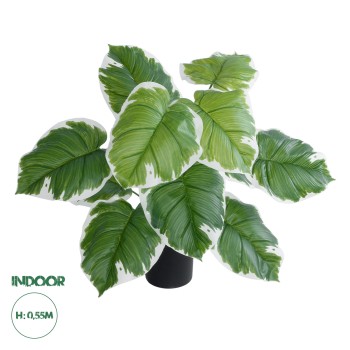 GloboStar® Artificial Garden WHITE HOSTA PLANT 20931 Διακοσμητικό Φυτό Λευκή  Χόστα Φ60 x Υ55cm GloboStar® Artificial Garden WHITE HOSTA PLANT 20931 Διακοσμητικό Φυτό Λευκή  Χόστα Φ60 x Υ55cm
