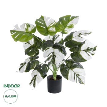 GloboStar® Artificial Garden ALBINO MONSTERA PLANT 20935 - Διακοσμητικό Φυτό Λευκή Μονστέρα Φ60 x Υ55cm GloboStar® Artificial Garden ALBINO MONSTERA PLANT 20935 - Διακοσμητικό Φυτό Λευκή Μονστέρα Φ60 x Υ55cm