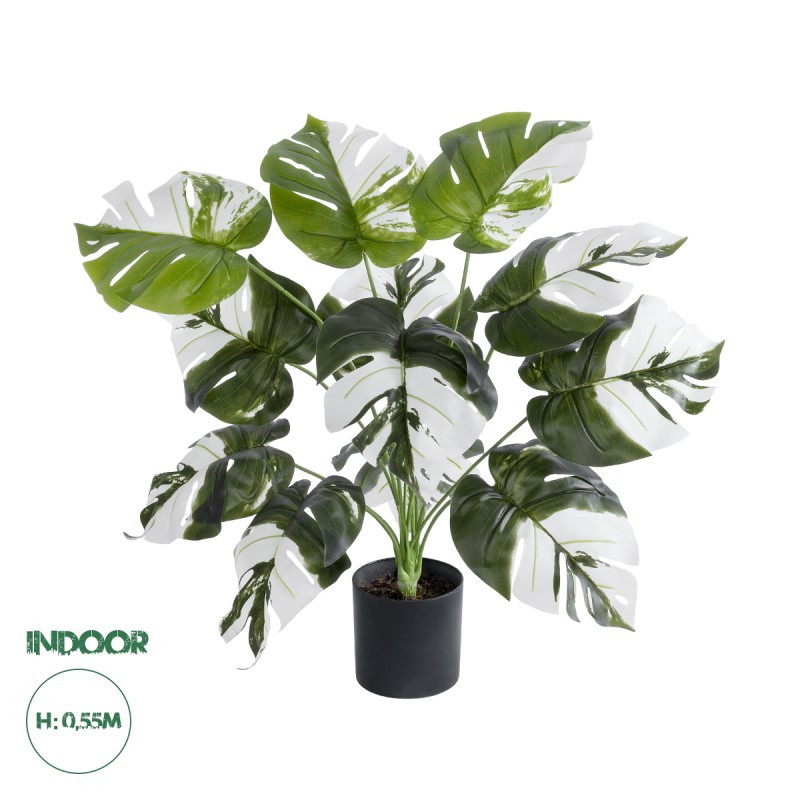 GloboStar® Artificial Garden ALBINO MONSTERA PLANT 20935 - Διακοσμητικό Φυτό Λευκή Μονστέρα Φ60 x Υ55cm GloboStar® Artificial Garden ALBINO MONSTERA PLANT 20935 - Διακοσμητικό Φυτό Λευκή Μονστέρα Φ60 x Υ55cm