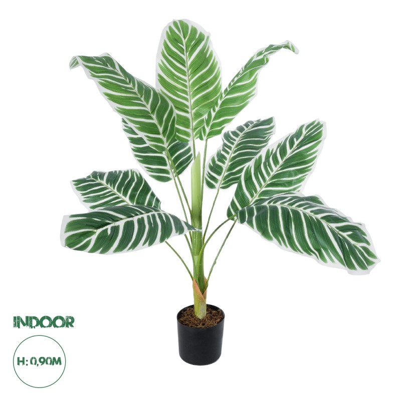 GloboStar® Artificial Garden WHITE ZEBRA PLANT 20943 Τεχνητό Διακοσμητικό Φυτό Λευκή Ζέβρα Φ90 x Υ90cm GloboStar® Artificial Garden WHITE ZEBRA PLANT 20943 Τεχνητό Διακοσμητικό Φυτό Λευκή Ζέβρα Φ90 x Υ90cm
