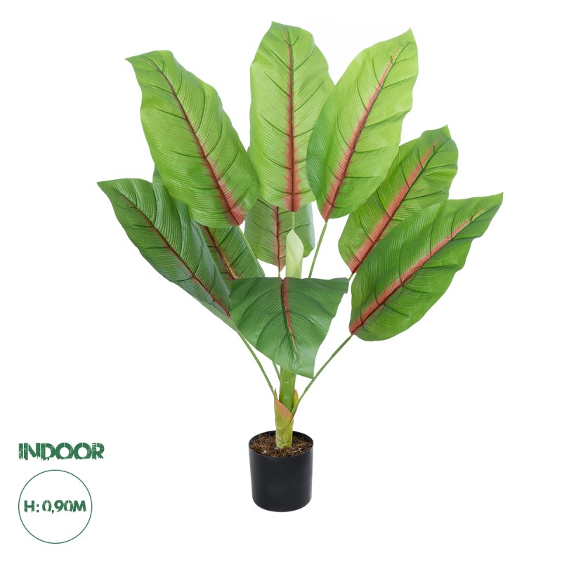 GloboStar® Artificial Garden BLOOD BANANA PLANT 20944 - Διακοσμητικό Φυτό Αιματόφυλλη Μπανανιά Φ70 x Υ90cm GloboStar® Artificial Garden BLOOD BANANA PLANT 20944 - Διακοσμητικό Φυτό Αιματόφυλλη Μπανανιά Φ70 x Υ90cm