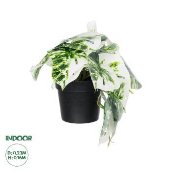GloboStar® Artificial Garden ALBINO MONSTERA PLANT 20946 - Διακοσμητικό Φυτό Μονστέρα Φ23 x Υ16cm GloboStar® Artificial Garden ALBINO MONSTERA PLANT 20946 - Διακοσμητικό Φυτό Μονστέρα Φ23 x Υ16cm
