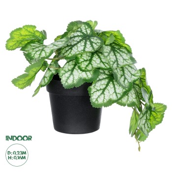 GloboStar® Artificial Garden WHITE BEGONIA PLANT 20947 Διακοσμητικό Φυτό Λευκή Βιγόνια Φ23 x Υ16cm GloboStar® Artificial Garden WHITE BEGONIA PLANT 20947 Διακοσμητικό Φυτό Λευκή Βιγόνια Φ23 x Υ16cm