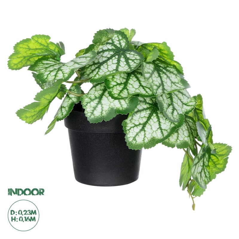 GloboStar® Artificial Garden WHITE BEGONIA PLANT 20947 Διακοσμητικό Φυτό Λευκή Βιγόνια Φ23 x Υ16cm GloboStar® Artificial Garden WHITE BEGONIA PLANT 20947 Διακοσμητικό Φυτό Λευκή Βιγόνια Φ23 x Υ16cm