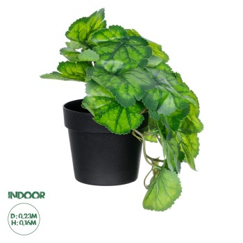 GloboStar® Artificial Garden GREEN BEGONIA PLANT 20949 Διακοσμητικό Φυτό Πράσινη Βιγόνια Φ23 x Υ16cm GloboStar® Artificial Garden GREEN BEGONIA PLANT 20949 Διακοσμητικό Φυτό Πράσινη Βιγόνια Φ23 x Υ16cm