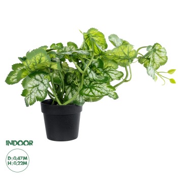 GloboStar® Artificial Garden BEGONIA PLANT 20958 Διακοσμητικό Φυτό Βιγόνια Φ47 x Υ22cm GloboStar® Artificial Garden BEGONIA PLANT 20958 Διακοσμητικό Φυτό Βιγόνια Φ47 x Υ22cm