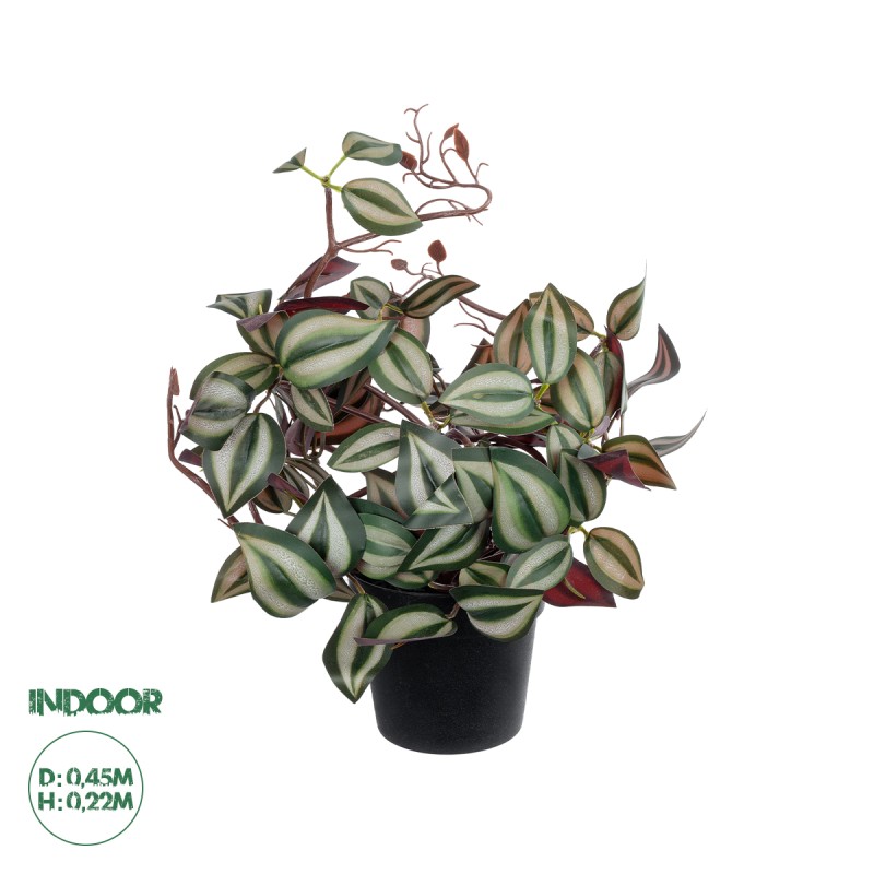GloboStar® Artificial Garden ZEBRINA PLANT 20961 Διακοσμητικό Φυτό Ζεμπρίνα Φ45 x Υ22cm GloboStar® Artificial Garden ZEBRINA PLANT 20961 Διακοσμητικό Φυτό Ζεμπρίνα Φ45 x Υ22cm