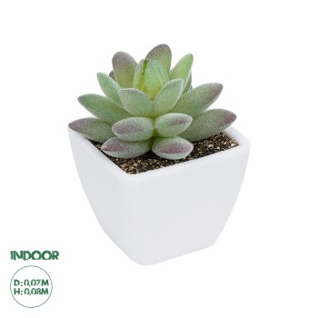 GloboStar® Artificial Garden  SUCCULENT SEDEVERIA POTTED PLANT 20975 Διακοσμητικό Φυτό Φοίνικα Σερενόα Φ7 x Υ8cm GloboStar® Artificial Garden  SUCCULENT SEDEVERIA POTTED PLANT 20975 Διακοσμητικό Φυτό Φοίνικα Σερενόα Φ7 x Υ8cm