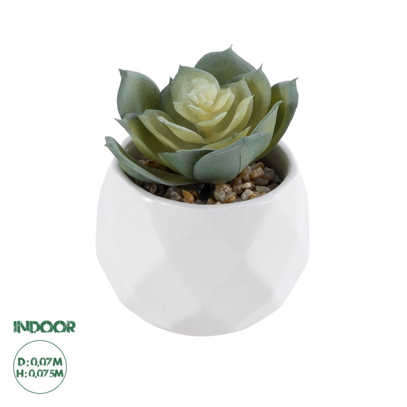 GloboStar® Artificial Garden SUCCULENT ECHEVERIA 20980 Διακοσμητικό Φυτό Παχύφυτο Εχεβέρια Υ7.5cm GloboStar® Artificial Garden SUCCULENT ECHEVERIA 20980 Διακοσμητικό Φυτό Παχύφυτο Εχεβέρια Υ7.5cm