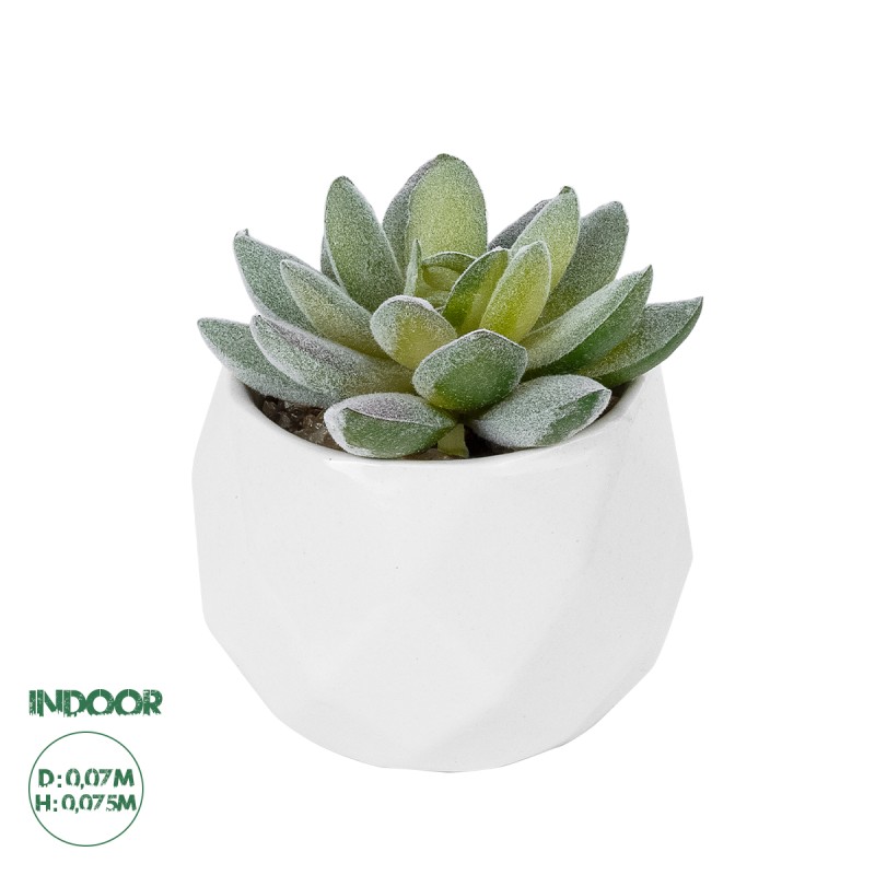 GloboStar® Artificial Garden SUCCULENT SEDEVERIA POTTED PLANT 20987 Διακοσμητικό Φυτό Σεδεβέρια Φ7 x Υ7,5cm GloboStar® Artificial Garden SUCCULENT SEDEVERIA POTTED PLANT 20987 Διακοσμητικό Φυτό Σεδεβέρια Φ7 x Υ7,5cm