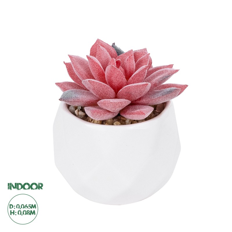 GloboStar® Artificial Garden SUCCULENT SEDEVERIA POTTED PLANT 20989 Διακοσμητικό Φυτό Σεδεβέρια Φ6,5 x Υ8cm GloboStar® Artificial Garden SUCCULENT SEDEVERIA POTTED PLANT 20989 Διακοσμητικό Φυτό Σεδεβέρια Φ6,5 x Υ8cm