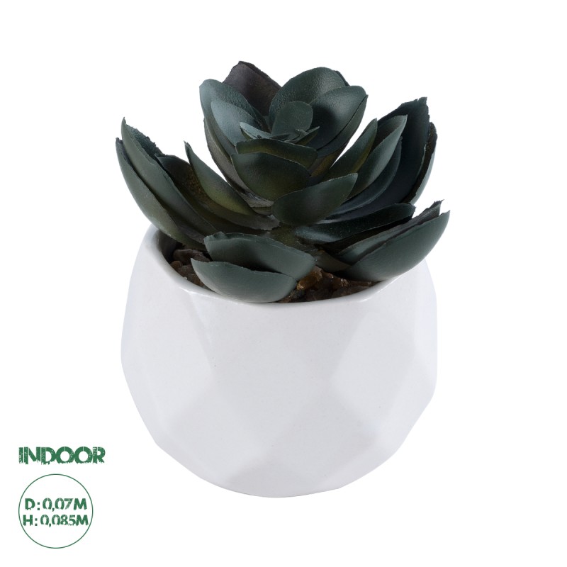 GloboStar® Artificial Garden SUCCULENT ECHEVERIA 20990 Διακοσμητικό Φυτό Παχύφυτο Εχεβέρια Υ8.5cm GloboStar® Artificial Garden SUCCULENT ECHEVERIA 20990 Διακοσμητικό Φυτό Παχύφυτο Εχεβέρια Υ8.5cm