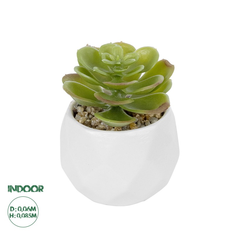 GloboStar® Artificial Garden SUCCULENT ECHEVERIA POTTED PLANT 20991 Διακοσμητικό Φυτό Εχεβέρια Φ6 x Υ8,5cm GloboStar® Artificial Garden SUCCULENT ECHEVERIA POTTED PLANT 20991 Διακοσμητικό Φυτό Εχεβέρια Φ6 x Υ8,5cm