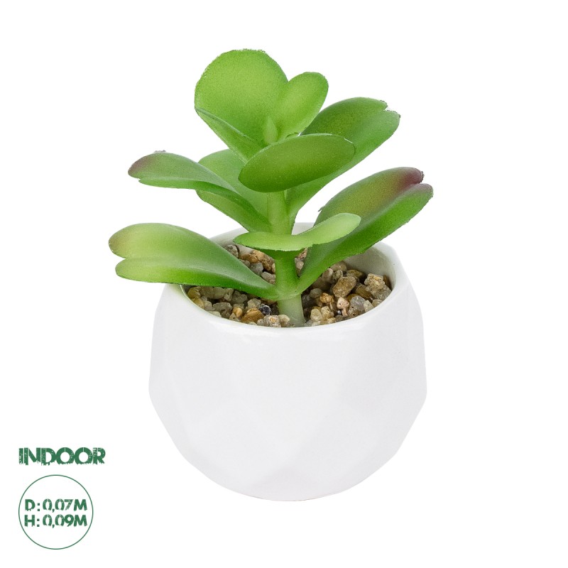 GloboStar® Artificial Garden SUCCULENT KALANCHOE POTTED PLANT 20995 Διακοσμητικό Φυτό Καλαχόη  Φ8 x Υ10cm GloboStar® Artificial Garden SUCCULENT KALANCHOE POTTED PLANT 20995 Διακοσμητικό Φυτό Καλαχόη  Φ8 x Υ10cm