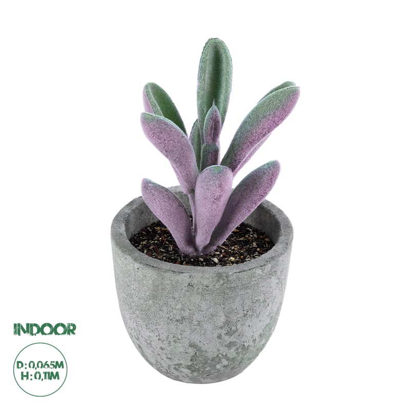 GloboStar® Artificial Garden SUCCULENT CRASULLA 21031 Διακοσμητικό Φυτό Παχύφυτο Κράσουλα Υ11cm GloboStar® Artificial Garden SUCCULENT CRASULLA 21031 Διακοσμητικό Φυτό Παχύφυτο Κράσουλα Υ11cm