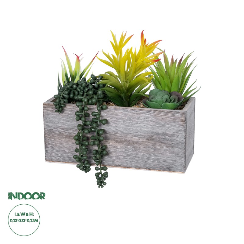 GloboStar® Artificial Garden SUCCULENT VARIUS PLANT POTTED 21034 Διακοσμητικό Φυτό Μίξ Μ23 x Π13 x Υ23cm GloboStar® Artificial Garden SUCCULENT VARIUS PLANT POTTED 21034 Διακοσμητικό Φυτό Μίξ Μ23 x Π13 x Υ23cm