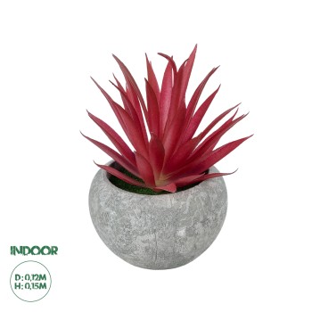 GloboStar® Artificial Garden AIR PLANT TILLANDSIA POTTED PLANT 21035 Διακοσμητικό Φυτό Τιλάντσια Φ12 x Υ15cm GloboStar® Artificial Garden AIR PLANT TILLANDSIA POTTED PLANT 21035 Διακοσμητικό Φυτό Τιλάντσια Φ12 x Υ15cm