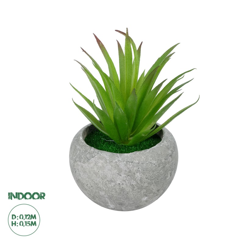 GloboStar® Artificial Garden AIR PLANT TILLANDSIA POTTED PLANT 21036 Διακοσμητικό Φυτό Τιλάντσια Φ12 x Υ15cm GloboStar® Artificial Garden AIR PLANT TILLANDSIA POTTED PLANT 21036 Διακοσμητικό Φυτό Τιλάντσια Φ12 x Υ15cm