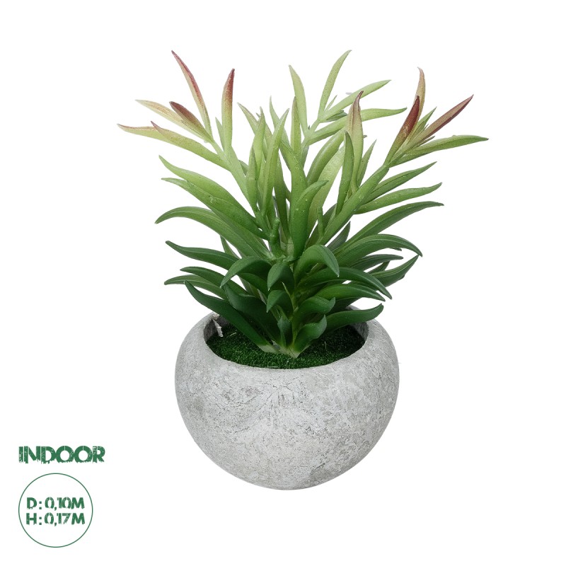 GloboStar® Artificial Garden SUCCULENT CRASSULA POTTED PLANT 21038 Διακοσμητικό Φυτό Κρασούλα  Φ10 x Υ17cm GloboStar® Artificial Garden SUCCULENT CRASSULA POTTED PLANT 21038 Διακοσμητικό Φυτό Κρασούλα  Φ10 x Υ17cm