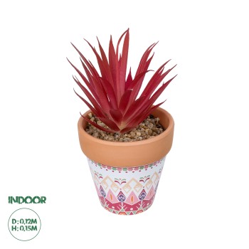GloboStar® Artificial Garden AIR PLANT NEOPHYTUM POTTED PLANT 21042 Διακοσμητικό Φυτό Νεόφυτο Φ12 x Υ15cm GloboStar® Artificial Garden AIR PLANT NEOPHYTUM POTTED PLANT 21042 Διακοσμητικό Φυτό Νεόφυτο Φ12 x Υ15cm