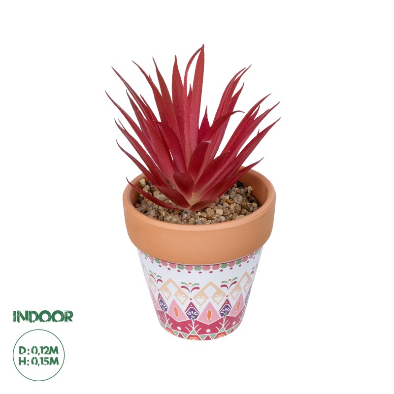 GloboStar® Artificial Garden AIR PLANT NEOPHYTUM POTTED PLANT 21042 Διακοσμητικό Φυτό Νεόφυτο Φ12 x Υ15cm GloboStar® Artificial Garden AIR PLANT NEOPHYTUM POTTED PLANT 21042 Διακοσμητικό Φυτό Νεόφυτο Φ12 x Υ15cm
