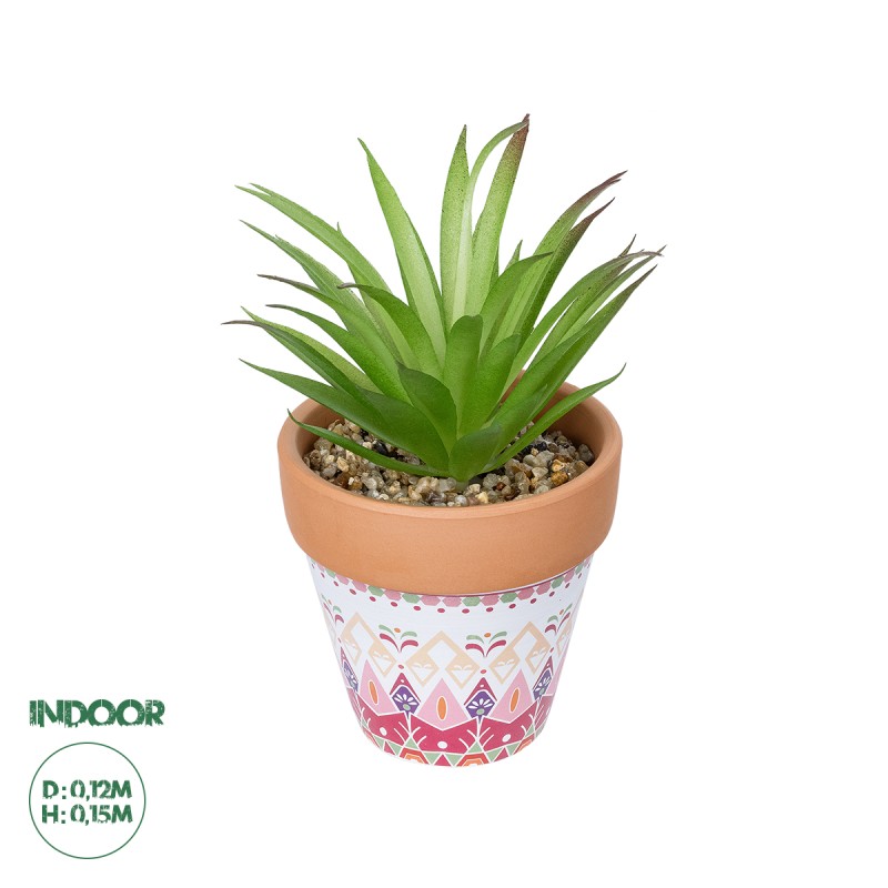GloboStar® Artificial Garden AIR PLANT NEOPHYTUM POTTED PLANT 21043 Διακοσμητικό Φυτό Νεόφυτο Φ12 x Υ15cm GloboStar® Artificial Garden AIR PLANT NEOPHYTUM POTTED PLANT 21043 Διακοσμητικό Φυτό Νεόφυτο Φ12 x Υ15cm