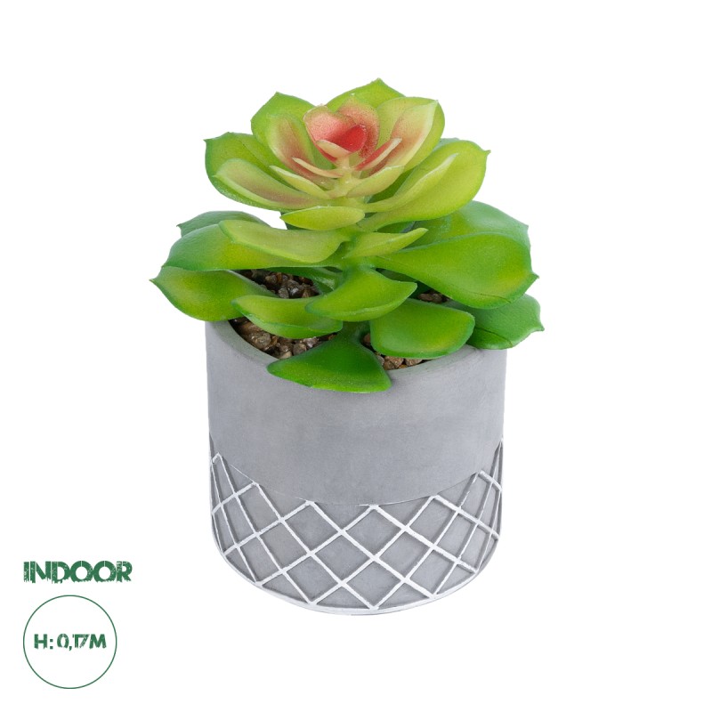 GloboStar® Artificial Garden SUCCULENT SEDEVERIA 21095 Διακοσμητικό Φυτό Παχύφυτο Σεντεβέρια Υ17cm GloboStar® Artificial Garden SUCCULENT SEDEVERIA 21095 Διακοσμητικό Φυτό Παχύφυτο Σεντεβέρια Υ17cm