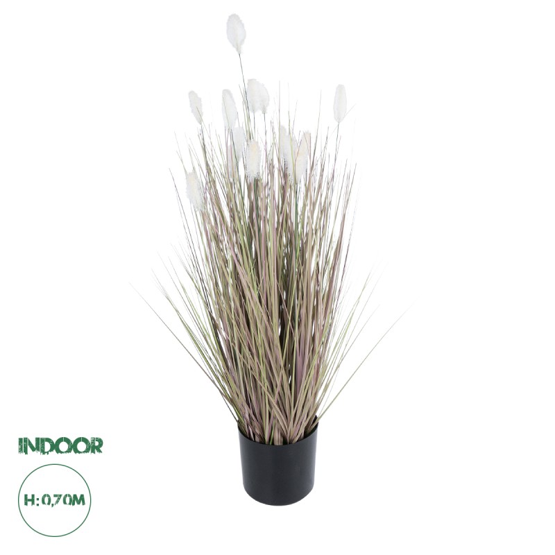 GloboStar® Artificial Garden BEIGE LAGURU 21100 Διακοσμητικό Φυτό Μπεζ Λαγοουρά Υ70cm GloboStar® Artificial Garden BEIGE LAGURU 21100 Διακοσμητικό Φυτό Μπεζ Λαγοουρά Υ70cm