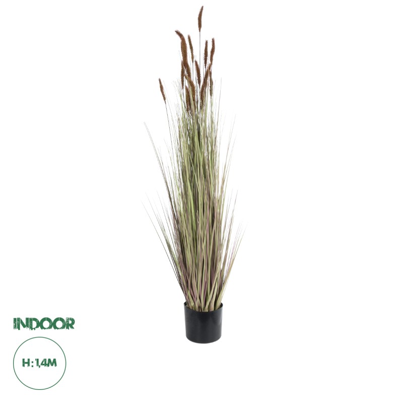 GloboStar® Artificial Garden BROWN LAGURUS 21101 Διακοσμητικό Φυτό Καφέ Λαγοουρά Υ140cm GloboStar® Artificial Garden BROWN LAGURUS 21101 Διακοσμητικό Φυτό Καφέ Λαγοουρά Υ140cm
