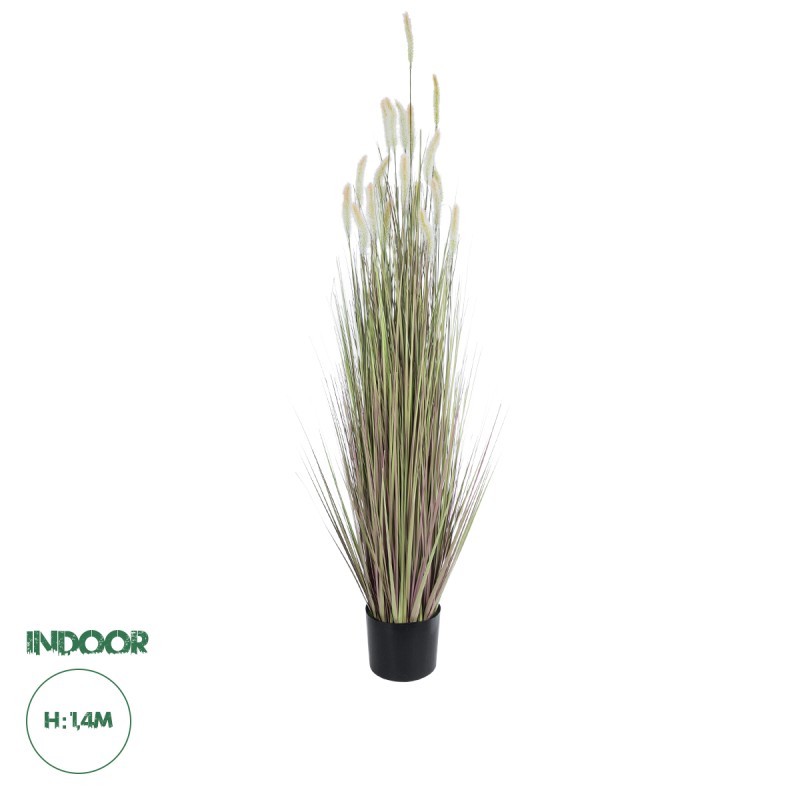 GloboStar® Artificial Garden BEIGE LAGURUS 21102 Διακοσμητικό Φυτό Μπεζ Λαγοουρά Υ140cm GloboStar® Artificial Garden BEIGE LAGURUS 21102 Διακοσμητικό Φυτό Μπεζ Λαγοουρά Υ140cm