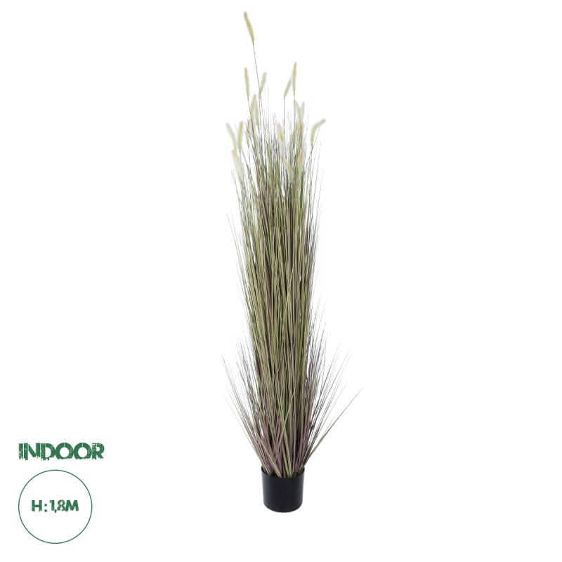 GloboStar® Artificial Garden BEIGE LAGURUS 21104 Διακοσμητικό Φυτό Μπεζ Λαγοουρά Υ180cm GloboStar® Artificial Garden BEIGE LAGURUS 21104 Διακοσμητικό Φυτό Μπεζ Λαγοουρά Υ180cm