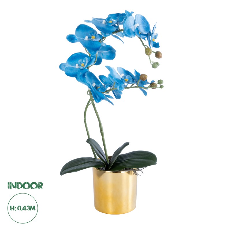 GloboStar® Artificial Garden BLUE ORCHID 21130 Διακοσμητικό Φυτό Μπλε Ορχιδέα Υ43cm GloboStar® Artificial Garden BLUE ORCHID 21130 Διακοσμητικό Φυτό Μπλε Ορχιδέα Υ43cm