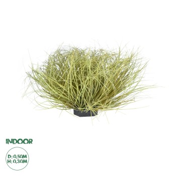 GloboStar® Artificial Garden GRASS BUSH PLANT 21166 Τεχνητό Διακοσμητικό Φυτό Θάμνος Grass Π50cm Y30cm GloboStar® Artificial Garden GRASS BUSH PLANT 21166 Τεχνητό Διακοσμητικό Φυτό Θάμνος Grass Π50cm Y30cm