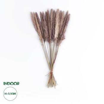 GloboStar® Artificial Garden REAL DRIED BROWN PAMPAS GRASS BUNCH 21215 Αποξηραμένο Διακοσμητικό Μπουκέτο Pampas Kάφε Y50cm - Σετ 15 τμχ GloboStar® Artificial Garden REAL DRIED BROWN PAMPAS GRASS BUNCH 21215 Αποξηραμένο Διακοσμητικό Μπουκέτο Pampas Kάφε Y50cm - Σετ 15 τμχ