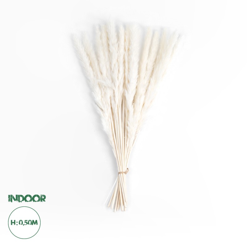 GloboStar® Artificial Garden REAL DRIED BEIGE PAMPAS GRASS BUNCH 21216 Αποξηραμένο Διακοσμητικό Μπουκέτο Pampas Μπέζ Y50cm - Σετ 15 τμχ GloboStar® Artificial Garden REAL DRIED BEIGE PAMPAS GRASS BUNCH 21216 Αποξηραμένο Διακοσμητικό Μπουκέτο Pampas Μπέζ Y50cm - Σετ 15 τμχ